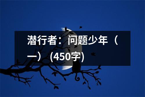 潛行者：?jiǎn)栴}少年（一） (450字)