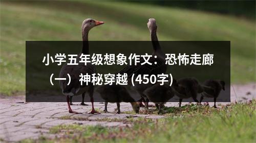 小學(xué)五年級(jí)想象作文：恐怖走廊（一）神秘穿越 (450字)