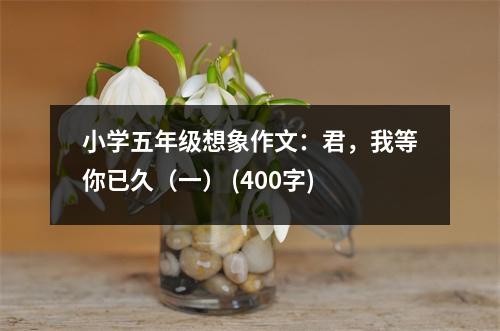 小學(xué)五年級(jí)想象作文：君，我等你已久（一） (400字)