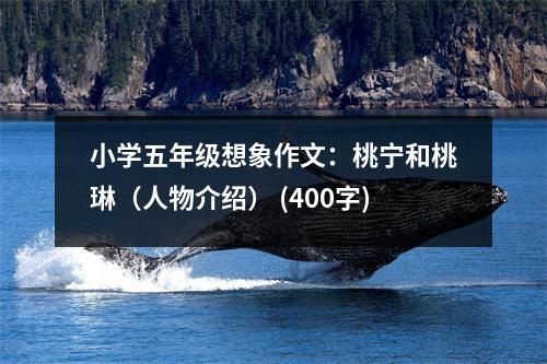 小學(xué)五年級(jí)想象作文：桃寧和桃琳（人物介紹） (400字)