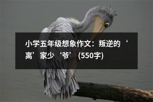 小學(xué)五年級(jí)想象作文：叛逆的‘離’家少‘爺’ (550字)