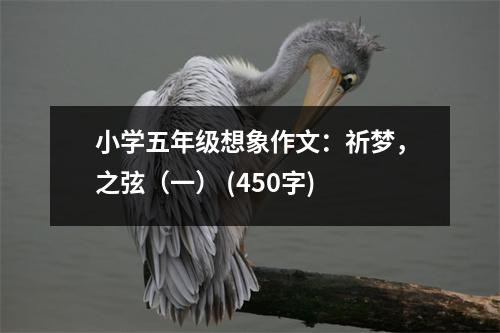 小學(xué)五年級想象作文：祈夢，之弦（一） (450字)