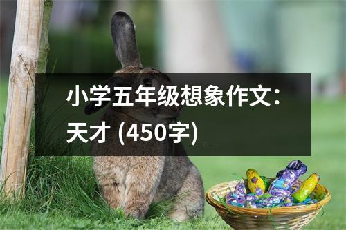 小學(xué)五年級(jí)想象作文：天才 (450字)