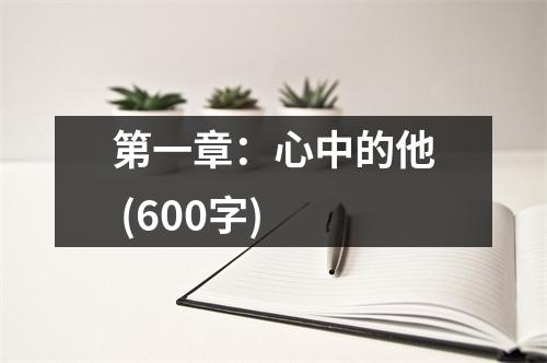 第一章：心中的他 (600字)