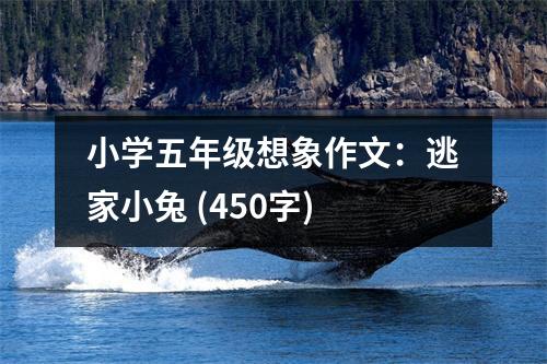 小學(xué)五年級(jí)想象作文：逃家小兔 (450字)