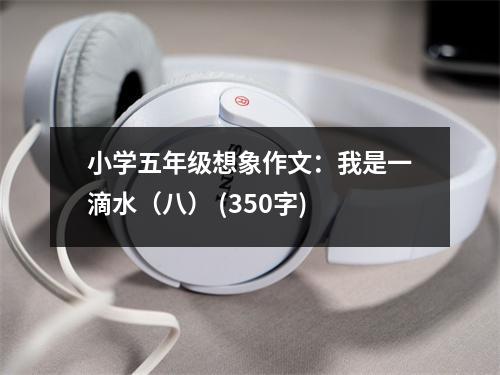小學(xué)五年級想象作文：我是一滴水（八） (350字)