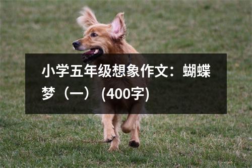 小學(xué)五年級想象作文：蝴蝶夢（一） (400字)