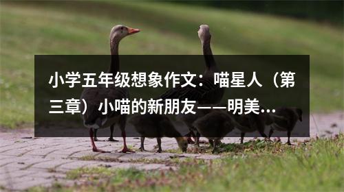 小學(xué)五年級想象作文：喵星人（第三章）小喵的新朋友——明美（第三章） (550字)