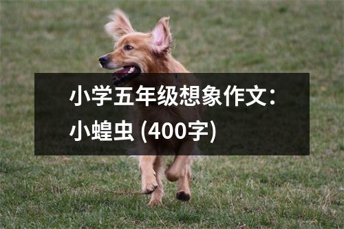 小學(xué)五年級(jí)想象作文：小蝗蟲 (400字)