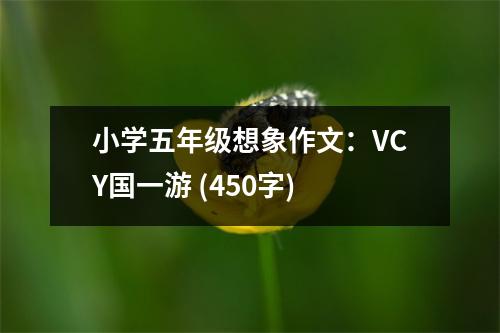 小學(xué)五年級(jí)想象作文：VCY國(guó)一游 (450字)