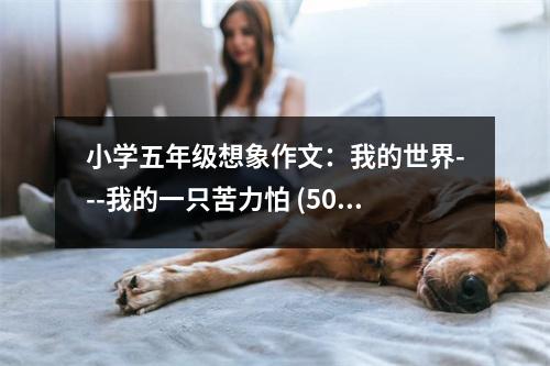 小學(xué)五年級(jí)想象作文：我的世界---我的一只苦力怕 (500字)