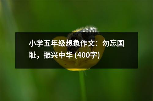 小學(xué)五年級(jí)想象作文：勿忘國(guó)恥，振興中華 (400字)