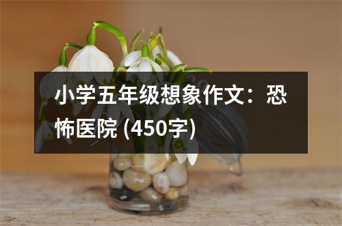 小學五年級想象作文：恐怖醫(yī)院 (450字)