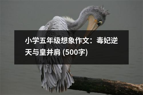 小學五年級想象作文：毒妃逆天與皇并肩 (500字)