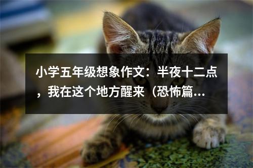 小學(xué)五年級(jí)想象作文：半夜十二點(diǎn)，我在這個(gè)地方醒來(lái)（恐怖篇） (550字)