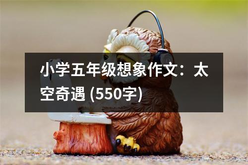 小學(xué)五年級(jí)想象作文：太空奇遇 (550字)