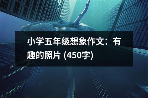 小學(xué)五年級(jí)想象作文：有趣的照片 (450字)