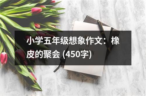 小學(xué)五年級(jí)想象作文：橡皮的聚會(huì) (450字)