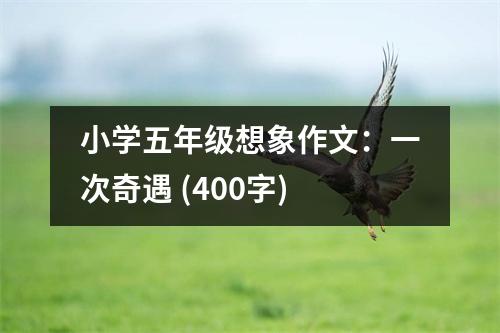 小學五年級想象作文：一次奇遇 (400字)