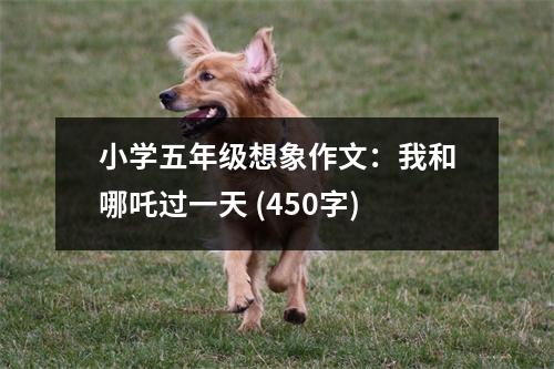 小學(xué)五年級(jí)想象作文：我和哪吒過一天 (450字)
