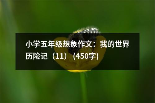 小學五年級想象作文：我的世界歷險記（11） (450字)
