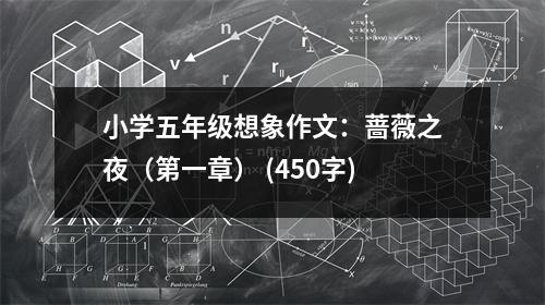 小學五年級想象作文：薔薇之夜（第一章） (450字)