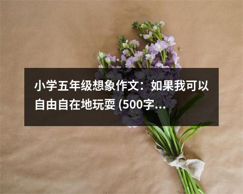 小學(xué)五年級想象作文：如果我可以自由自在地玩耍 (500字)