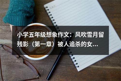 小學(xué)五年級想象作文：風(fēng)吹雪月留殘影（第一章）被人追殺的女子 (600字)