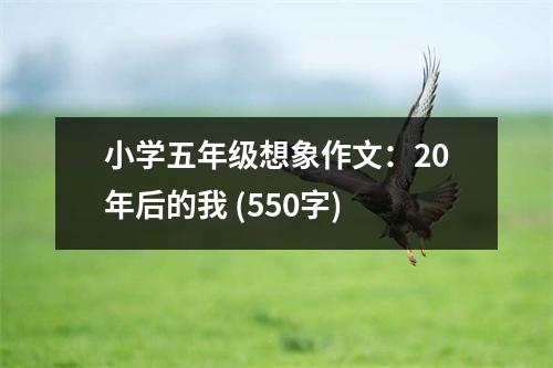 小學(xué)五年級(jí)想象作文：20年后的我 (550字)