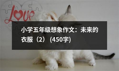 小學(xué)五年級(jí)想象作文：未來(lái)的衣服（2） (450字)