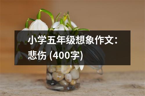 小學(xué)五年級(jí)想象作文：悲傷 (400字)