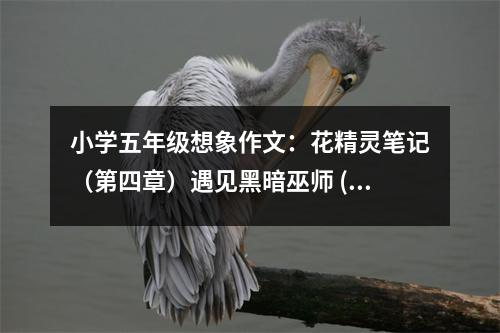 小學(xué)五年級想象作文：花精靈筆記（第四章）遇見黑暗巫師 (500字)