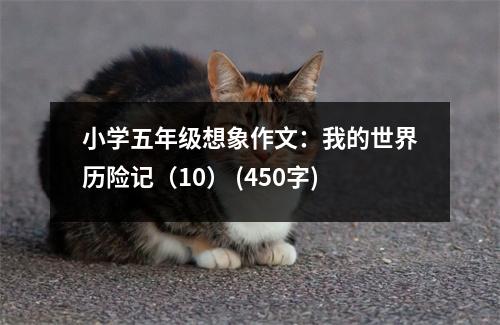 小學(xué)五年級想象作文：我的世界歷險(xiǎn)記（10） (450字)