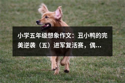小學(xué)五年級想象作文：丑小鴨的完美逆襲（五）進軍復(fù)活賽，偶然發(fā)現(xiàn)她的秘密 (450字)