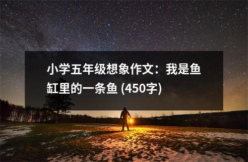 小學五年級想象作文：我是魚缸里的一條魚 (450字)