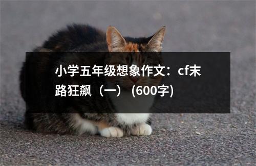 小學(xué)五年級想象作文：cf末路狂飆（一） (600字)