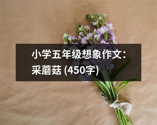 小學(xué)五年級想象作文：采蘑菇 (450字)
