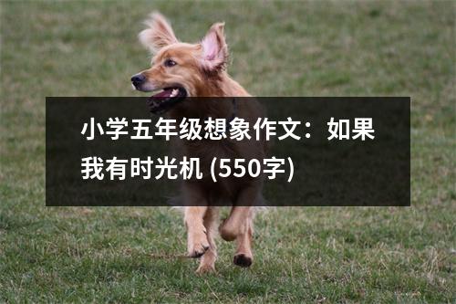 小學五年級想象作文：如果我有時光機 (550字)