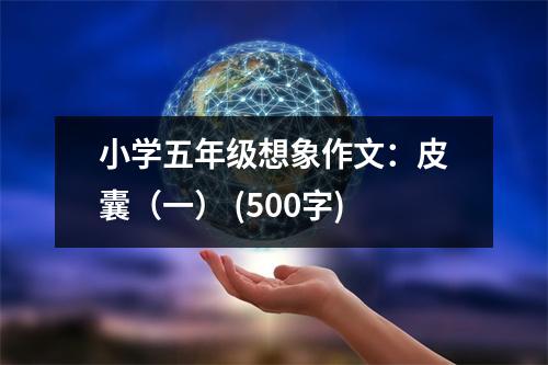 小學五年級想象作文：皮囊（一） (500字)