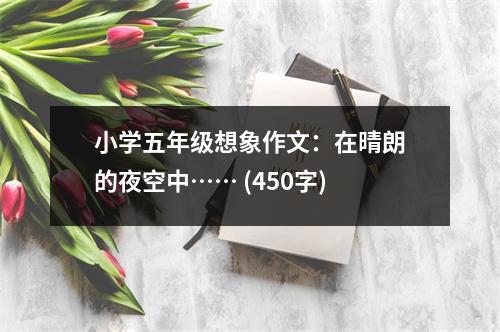 小學五年級想象作文：在晴朗的夜空中…… (450字)