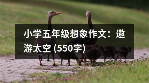 小學(xué)五年級(jí)想象作文：遨游太空 (550字)