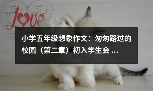 小學五年級想象作文：匆匆路過的校園（第二章）初入學生會 (500字)