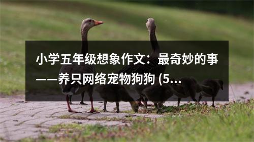 小學(xué)五年級想象作文：最奇妙的事——養(yǎng)只網(wǎng)絡(luò)寵物狗狗 (550字)