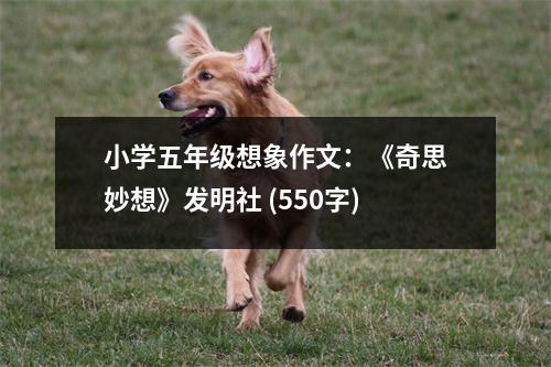 小學(xué)五年級想象作文：《奇思妙想》發(fā)明社 (550字)