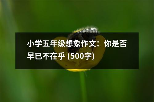 小學(xué)五年級(jí)想象作文：你是否早已不在乎 (500字)