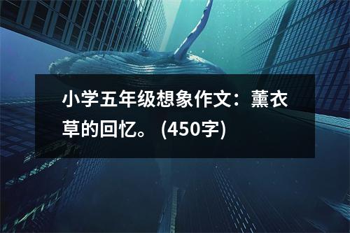 小學(xué)五年級(jí)想象作文：薰衣草的回憶。 (450字)