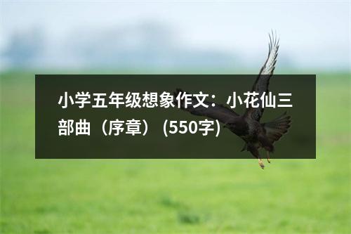 小學(xué)五年級(jí)想象作文：小花仙三部曲（序章） (550字)