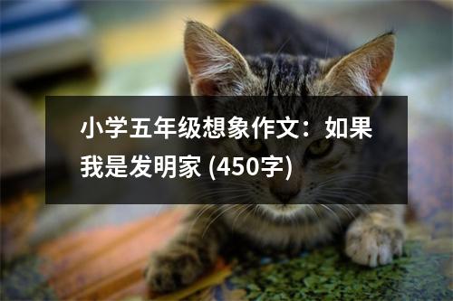 小學五年級想象作文：如果我是發(fā)明家 (450字)