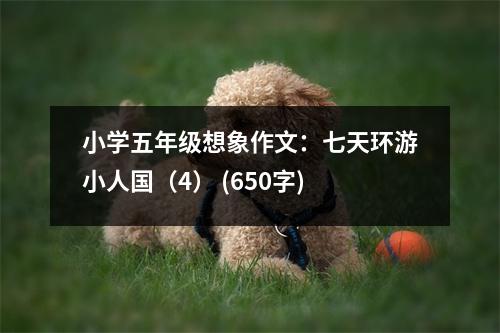 小學五年級想象作文：七天環(huán)游小人國（4） (650字)