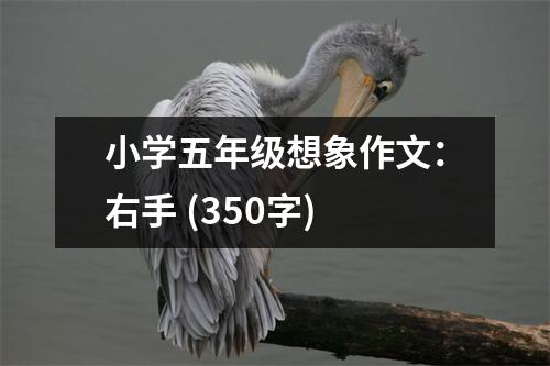 小學五年級想象作文：右手 (350字)